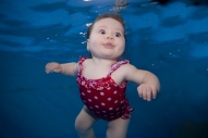 Underwater Photography