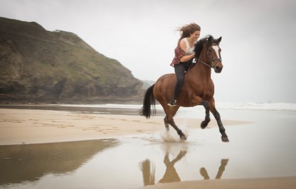 Equestrian-Photographer-Cornwall